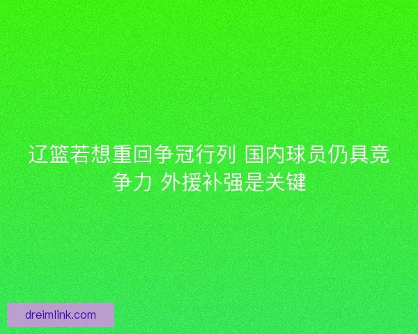辽篮若想重回争冠行列 国内球员仍具竞争力 外援补强是关键