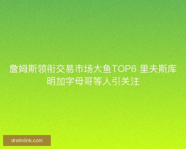 詹姆斯领衔交易市场大鱼TOP6 里夫斯库明加字母哥等人引关注 詹姆斯领衔交易市场大鱼TOP6 里夫斯库明加字母哥等人引关注