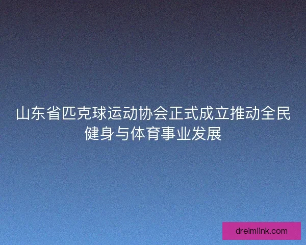 山东省匹克球运动协会正式成立推动全民健身与体育事业发展